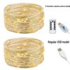 100m LED USB Copper Wire String Lights - Multicolor Starry Sky Christmas Decor