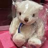 [USED] Volkswagen Teddy Bear