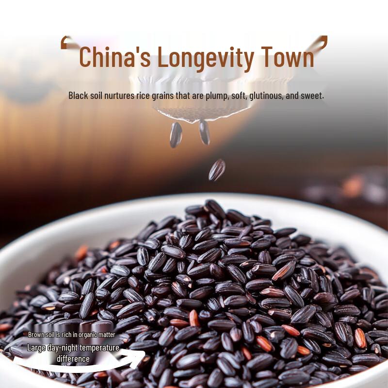 BESTORE Assorted Breakfast & Snack Breads