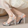 Gold Silver Glitter High Heel Sandals for Women Summer 2025 Ankle Strap Platform Pumps Woman Sexy Stiletto Heeled Party Shoes