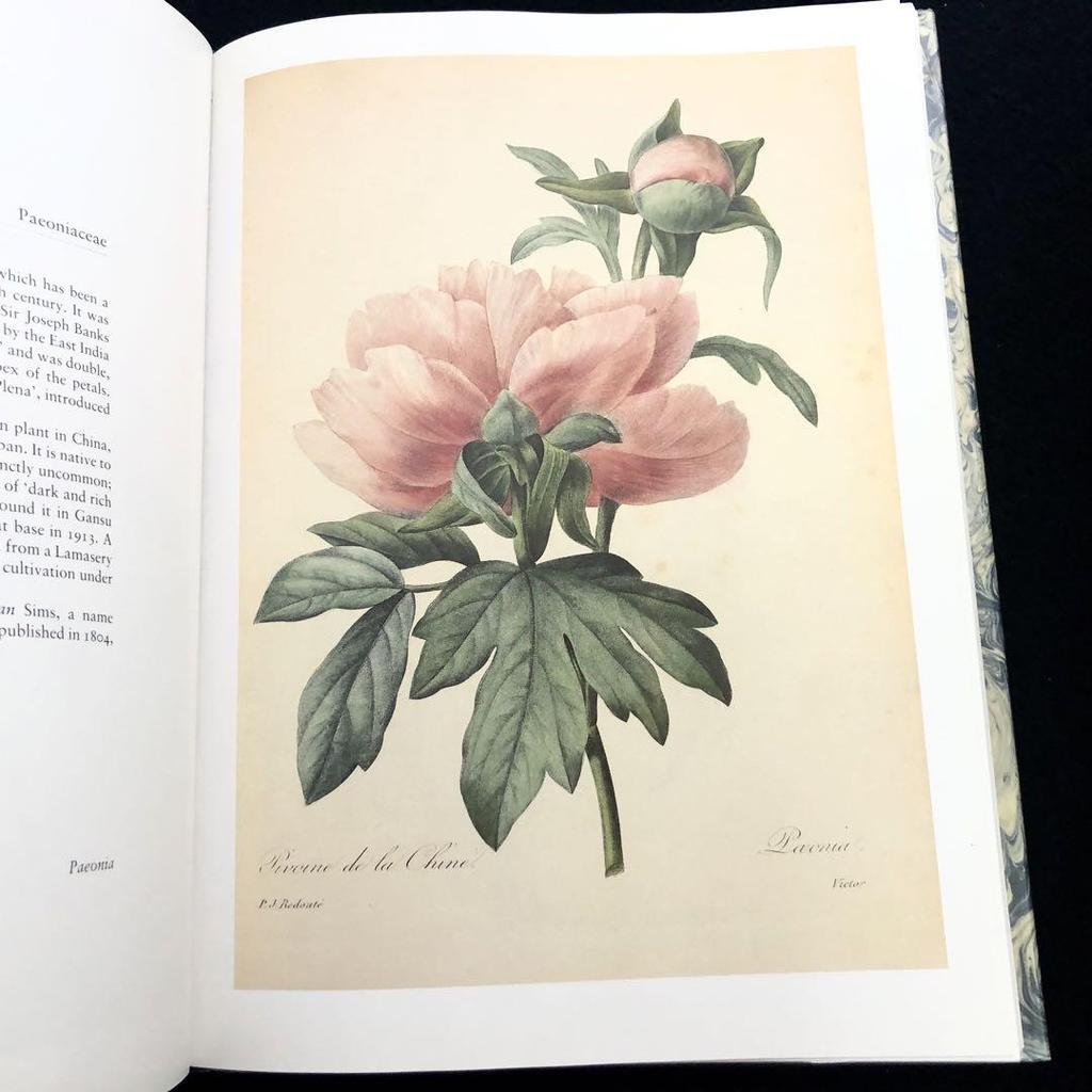 [USED] Pierre-Joseph Ledoute Art Collection "Fairest Flowers" 1987