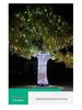 Waterproof Solar Meteor Shower String Lights for Outdoor Festival & Tree Decoration