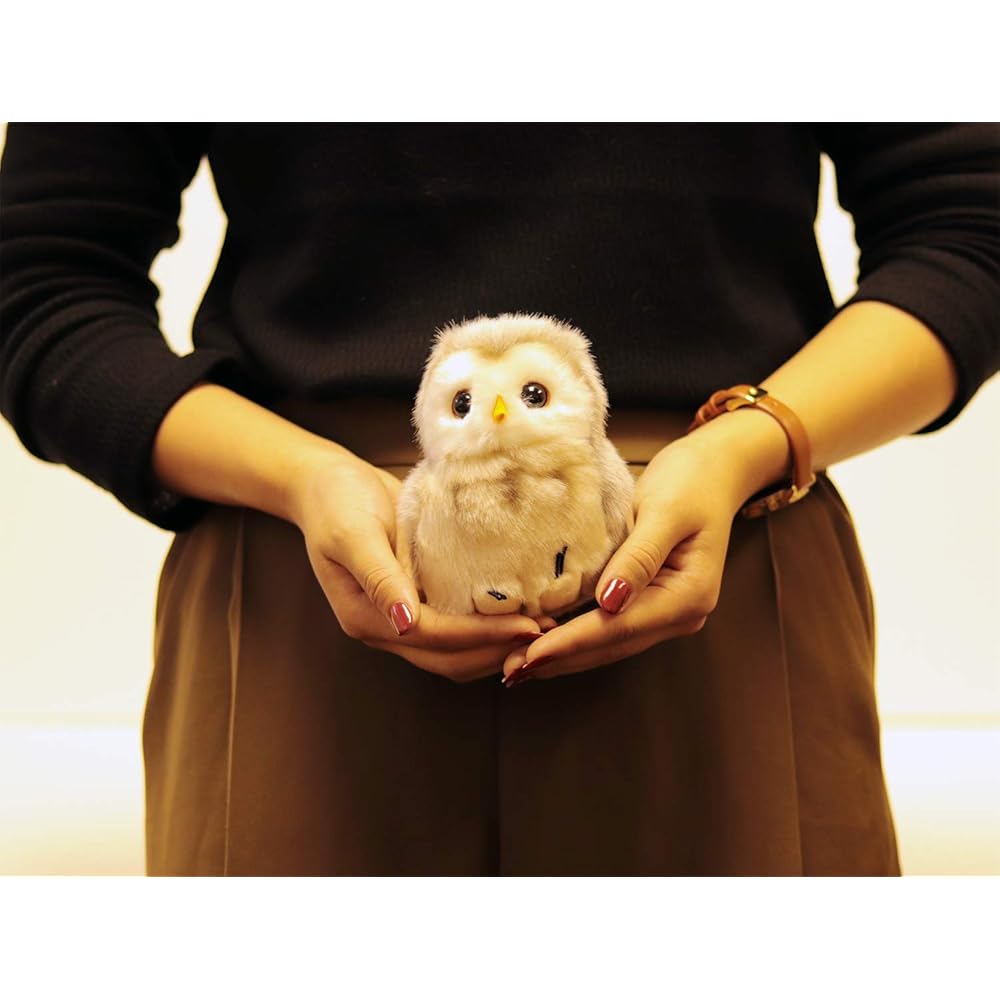 Yoshitoku Riku no Nakama-tachi Plush Toy Owl 180512 30cm Soft Stuffed Animal