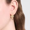 Dior Logo Metal Earrings Women earrings Gold E3310WOMRS