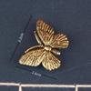 Brass Mini Insect Figurines Retro Antique Finish Exquisite Carved Small Decor for Home Shelf Art Collection Birthday Gift Choice