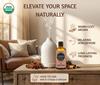 Earth N Pure Cinnamon Essential Oil | 100% Pure & Undiluted | Steam Distilled | Warm Ambiance, Muscle Comfort & Focus | 50ml