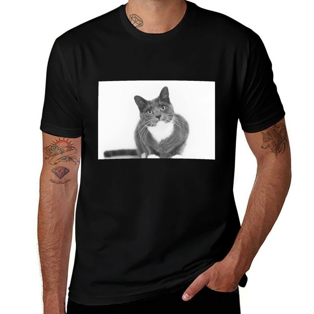 Grey And White Cat Tshirt T Shirt Unisex Designer T Shirt Unisex Cotton Tshirt