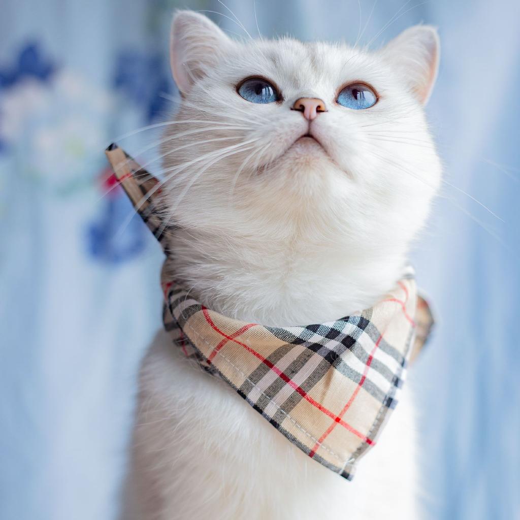 British plaid pet saliva towel, spring and summer dog cat triangle scarf, European and American printed fruit pet scarf