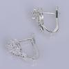 Weight Loss Earrings Cubic Zirconia Earrings Acupoint Stimulation Fat Burning