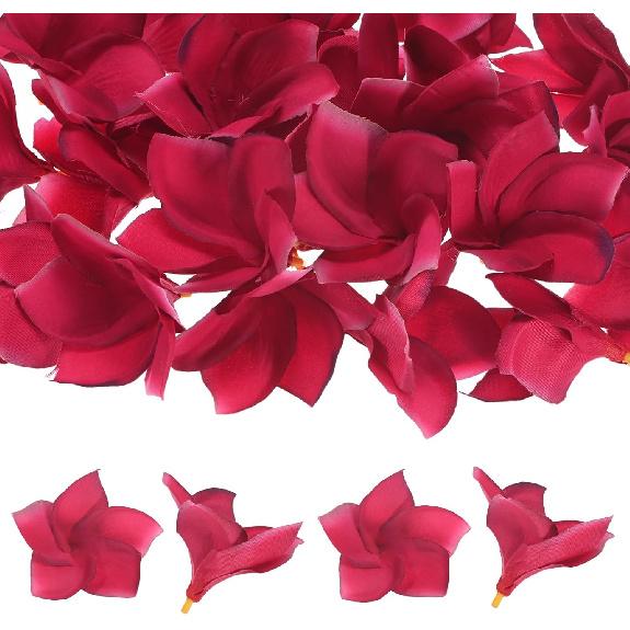 10-Pack Artificial Plumeria Flowers, Fake Silk Heads Flower Hawaiian Plumeria Petal for DIY Crafts/Dress/Wedding/Party Decoration [Champagne+Red,