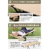 WAQ 2-Way Camping Cot - Silent, Lightweight Folding Bed, 150kg Capacity, Adjustable Height (Beige Gray) - 600D Seat - Normal
