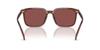 Sunglasses 0HC8411U TRANSPARENT MAHOGANY 55 [Coach]