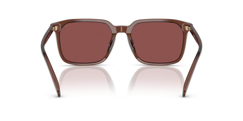 Sunglasses 0HC8411U TRANSPARENT MAHOGANY 55 [Coach]