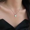 Temperament Golden Shell Necklace 2025 New Popular Clavicle Chain Neck Chain Accessories
