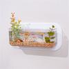 Wall Hanging Aquariums Tanks Office Wall Fish Tanks Wall Mounted Fish Bowl for Modern Home Decoration
