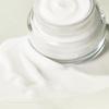 [STEAMBASE] Roseherb Volume Lifting Youth Cream 50ml