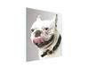 GLASS CUTTING BOARD 45x52 Dog