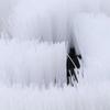 High Pressure High Pressure Car Wash Brush Rigid Clean Water Cleaning Brush  Car Cleaning