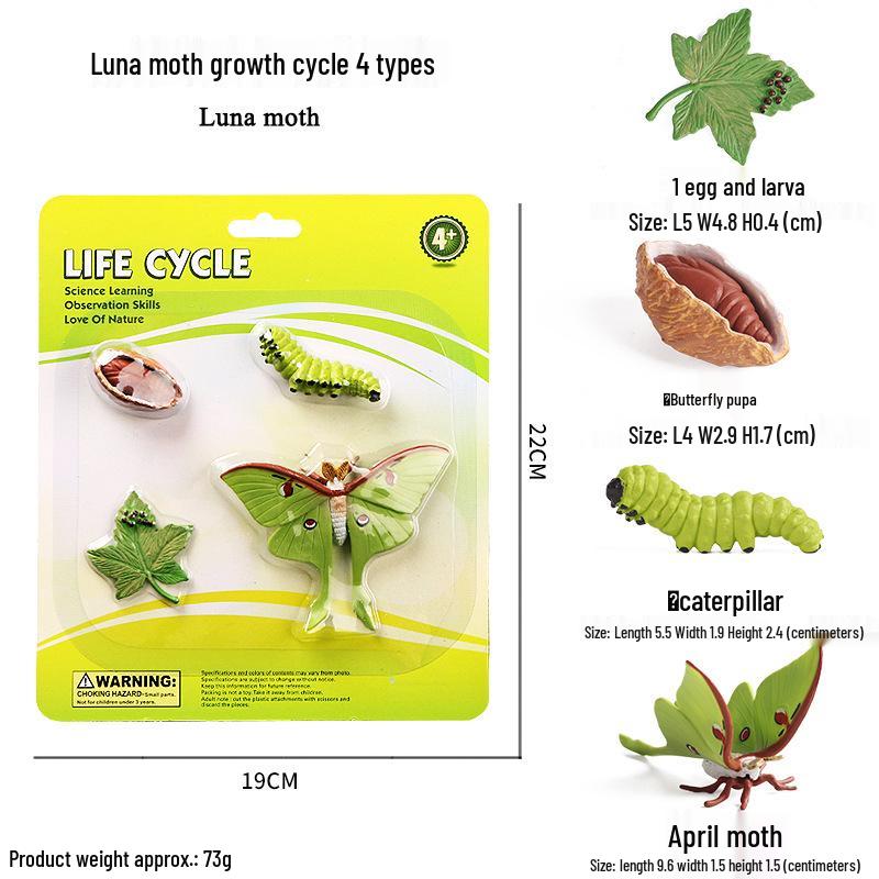 Cross-border Simulation Animal Suction Toy: Butterfly, Rooster, Ant, Frog, Sea Turtle, Mosquito Growth Cycle Models