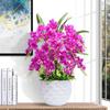 Artificial Phalaenopsis Flower Set: Indoor TV Cabinet Decor