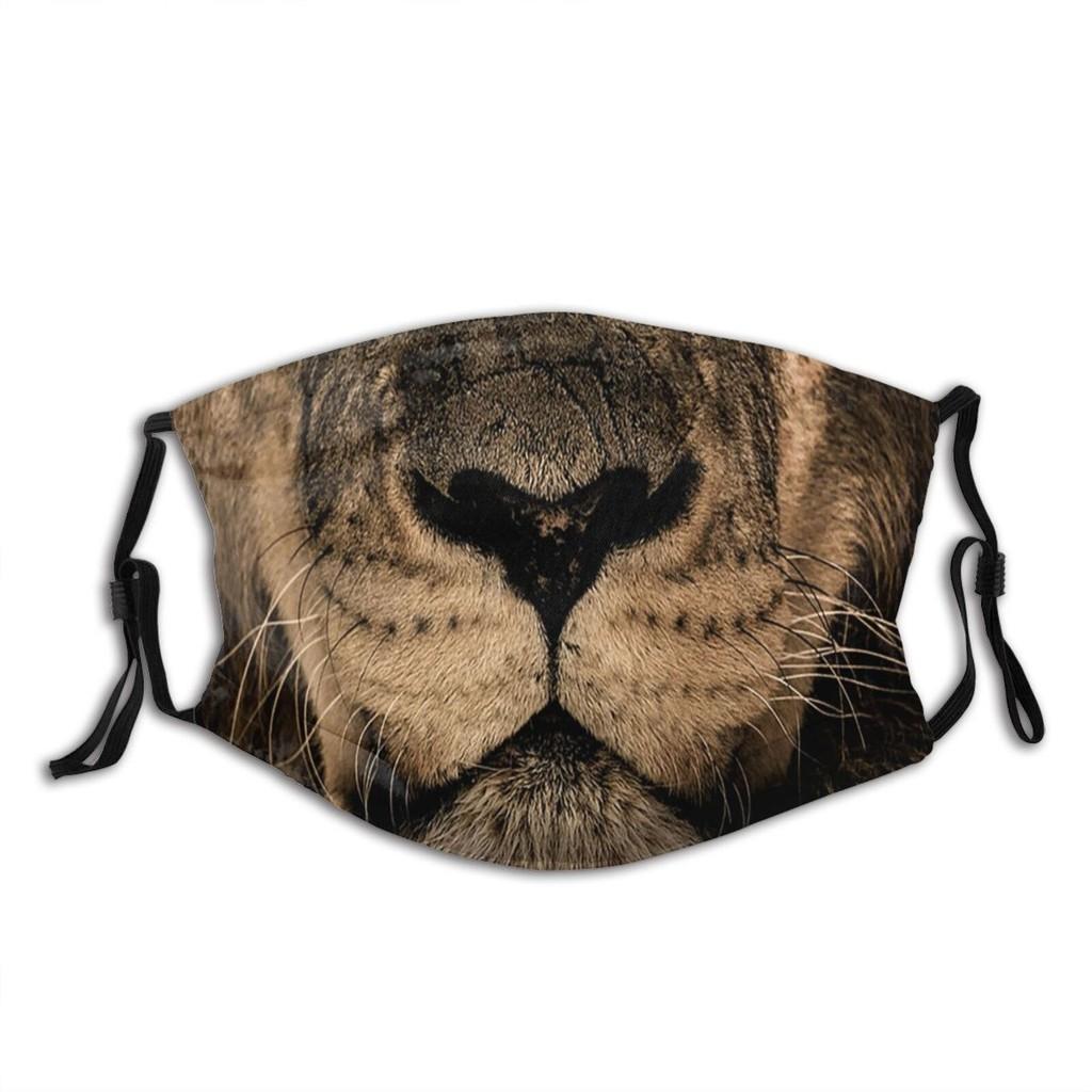 Animal Mask Funny Print Cotton Face Mask With Earloops For All Seasons