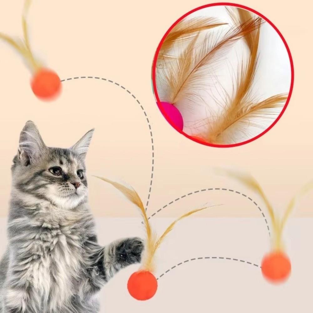 3Pcs Chewing Resistant Cat Interactive Ball Toy Solid Biting Cat Feather Ball Toys  Pet Teasing