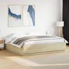 LED Bed Frame in Sonoma Oak 200x200 cm Particleboard