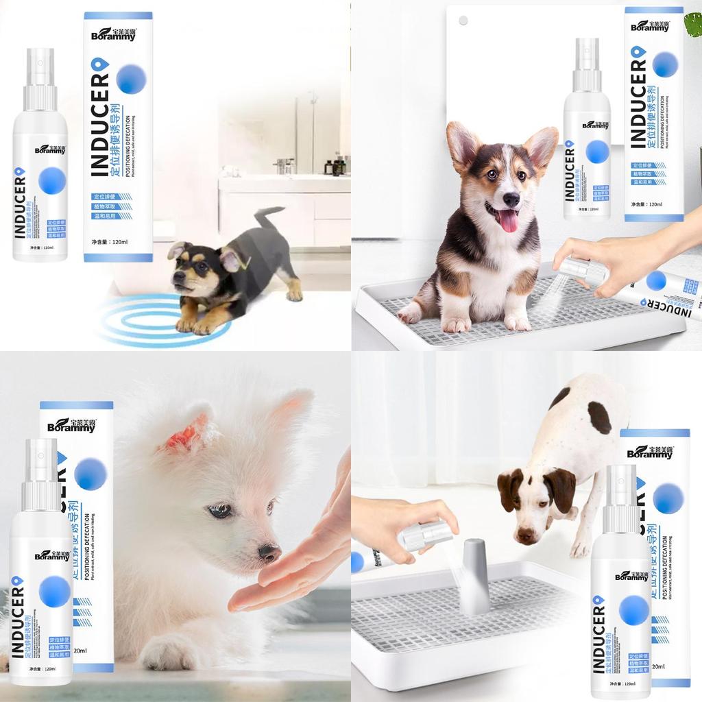 Effektives Stubenreinheitsspray für Hunde zur Standortführung für Urin und Kot