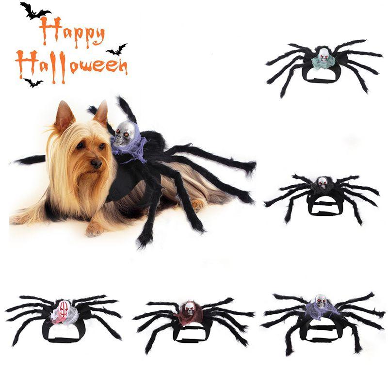 Cute Pet Spider Costume For Halloween Party