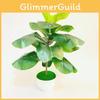Hance Pandurata Ficus Artificial Greenery With Plastic Leaves For Living Room