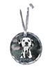 Dalmatian, Carriage Dog, Spotted Coach Dog - Crystal Bauble with a Photo, Dog Photo In Crystal, Personalized Christmas Tree Ornament by Brand