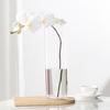 Transparent PET Vase for Water-cultured Flower Arrangements,Living Room Decorations,Hydroponic Containers,Large Flower Bucket