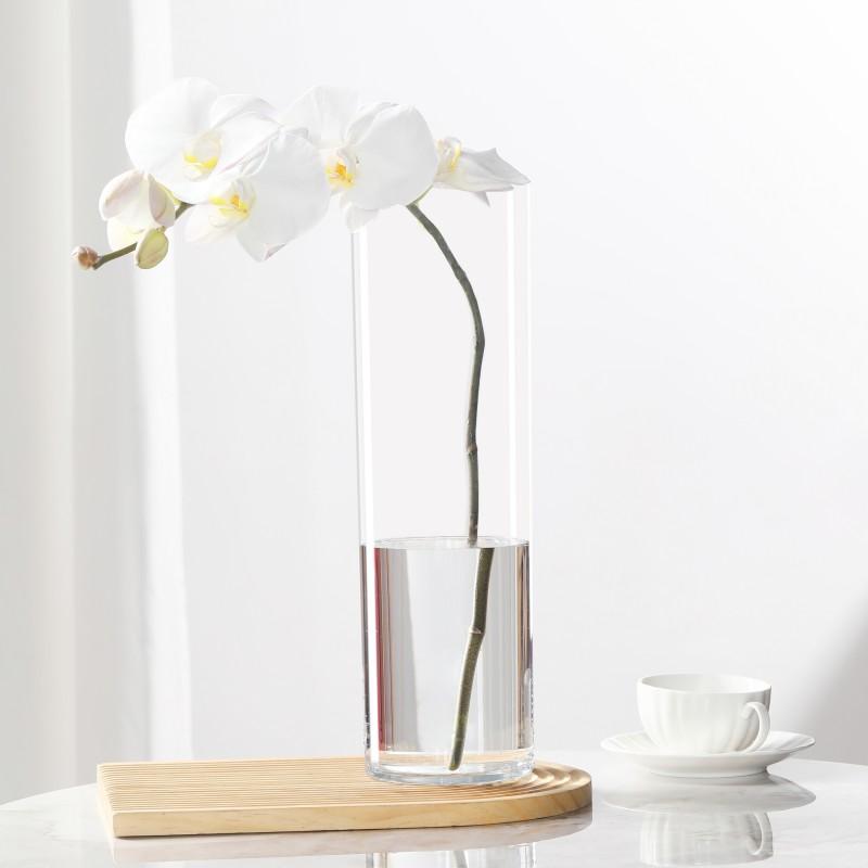Transparent PET Vase for Water-cultured Flower Arrangements,Living Room Decorations,Hydroponic Containers,Large Flower Bucket