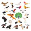 Toy Animals Figures Phoenix Peacock Toucan Turkey Eagle Flamingo Bird Models Action Figure Jungle Animal Figurines Toys for Kids