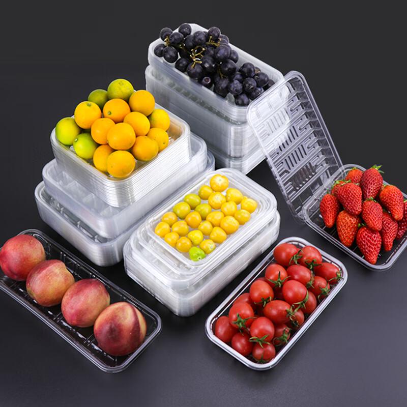 Disposable Clear Plastic Food Packaging Trays