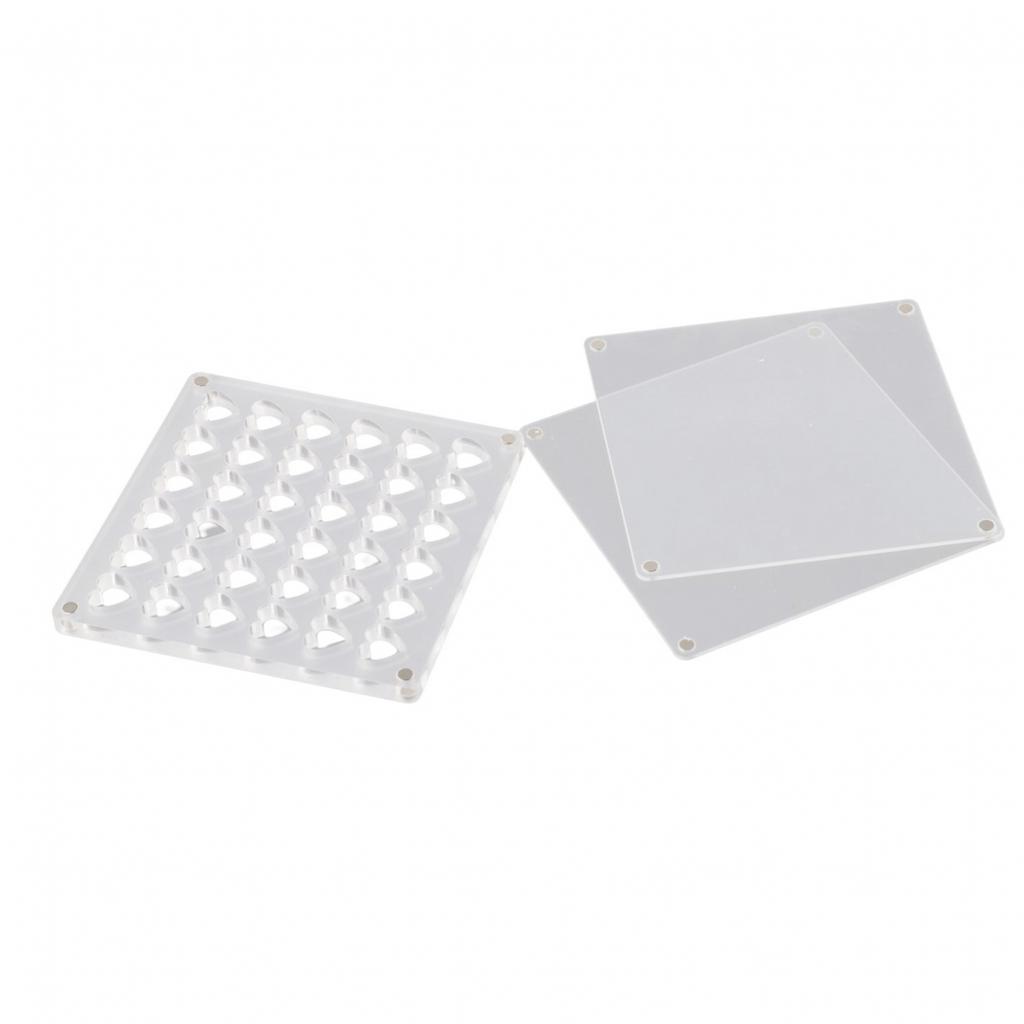 Sleek Acrylic Magnetic Seashell Display Box A Must Have for Shell Collectors