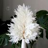 Preserved Fern Leaf for Home Decoration,Eternal Life,Natural Real Fern Plant,Handmade Flowers Material,Wedding,Home, 5Pcs,10Pcs