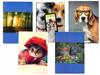 Notebook 20 Pcs. Grid 16-sheet A5 | ZE-650PC