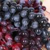 Simulation Fake Grape Bundles Decorative Fake Fruits Decorations  Home Decor