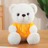 Orso carino vestito orsacchiotto bambola giocattolo di peluche orso da abbracciare bambola bambini bambola di pezza ragazza regalo di compleanno