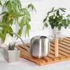 Stainless Steel Long-Spout Watering Can with Misting Sprayer for Gardens