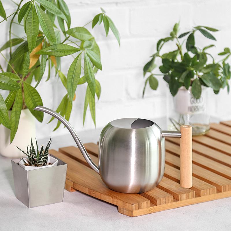 Stainless Steel Long-Spout Watering Can with Misting Sprayer for Gardens