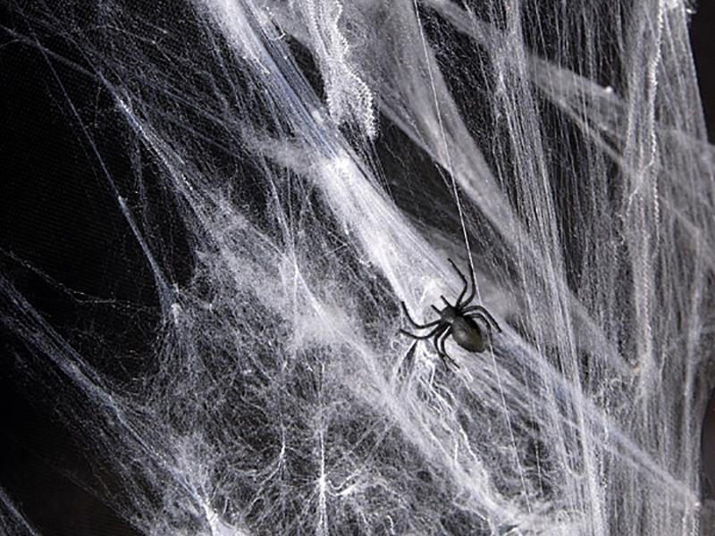 Halloween Decorative Spiderweb + Spiders, White, 60g