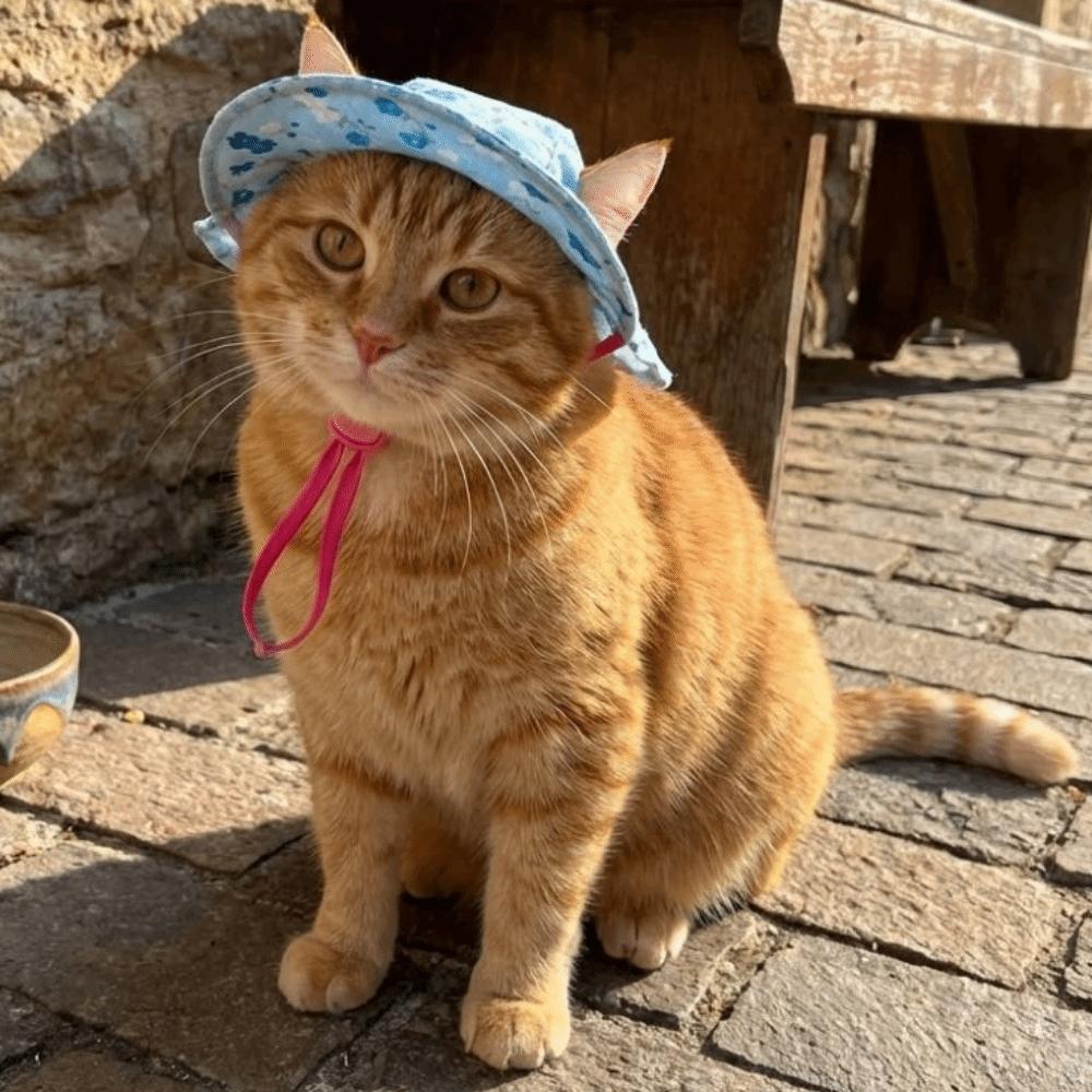 Round Brim Pet Sun Hat Floral Pattern Adorable Pet Hat Dog Sunscreen Hat  Small Medium Pets