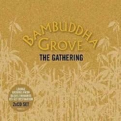 CD VARIOUS - Bambuddha Grove  Non Japan Music Others Used