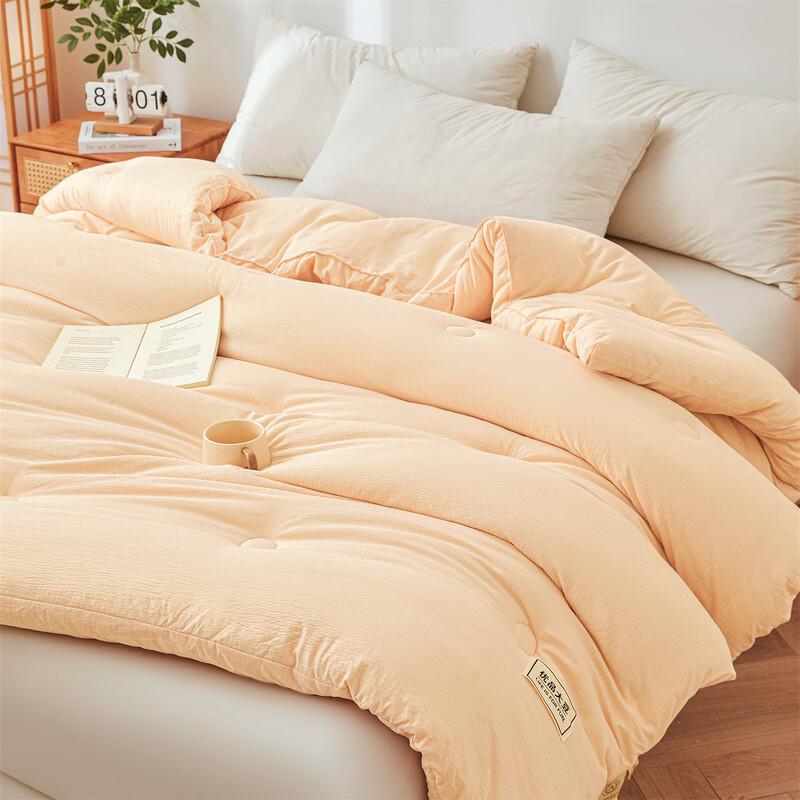 Hongdou A-Class Antibacterial Soybean Fiber Quilt