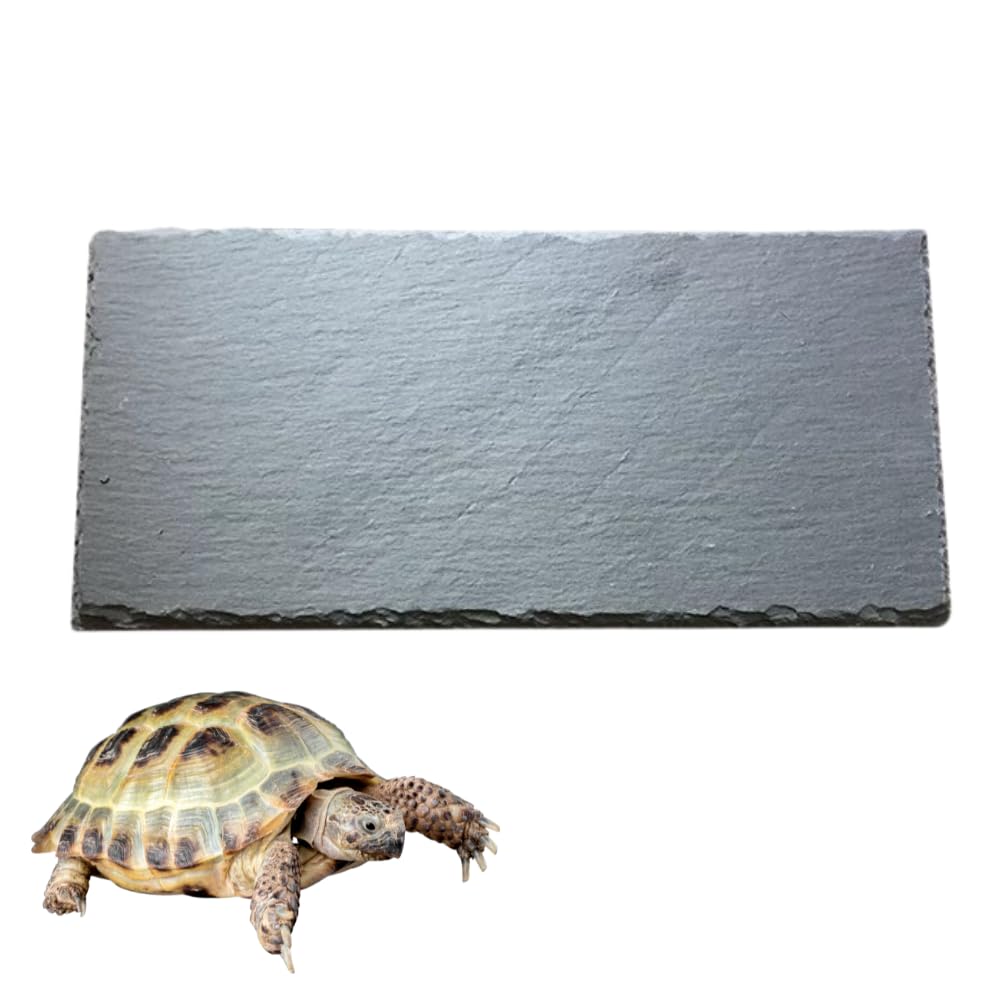 Ideastore Turtle Drying Land Lava Turtle Heat Moisture Lava X Board, Bedding, Plate, Reptile, Tortoise, Bedding, Retention, Retention, (Square (30cm