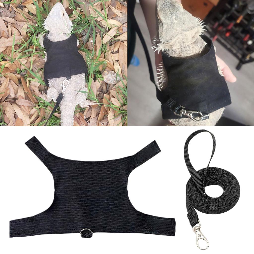 Reliable Chest Back Traction Rope Set for Lizard Reptiles Outdoor Walking Harness with Letter Print for Reptiles Crawl