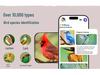 Smart Bird Feeder: Automatic Remote Pet Treat Dispenser & Custom Timer