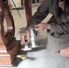 Behning Sons Piano Auxiliary Pedal for Height Pedal PLUS Do Piano Auxiliary Stand Footstool Footstool Pedal Plus Footstool Pedal Footstool Set &